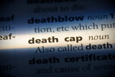 death cap word in a dictionary. death cap concept, definition.の写真素材