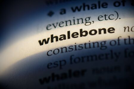 whalebone word in a dictionary. whalebone concept, definition.の写真素材