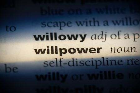 willpower word in a dictionary. willpower concept, definition.の写真素材