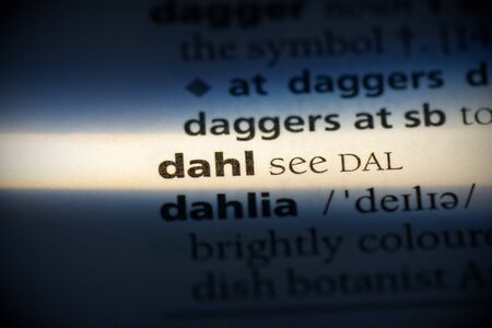 dahl word in a dictionary. dahl concept, definition.の写真素材
