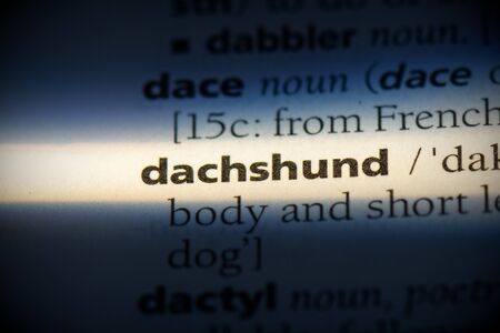 datchshund word in a dictionary. datchshund concept, definition.の写真素材