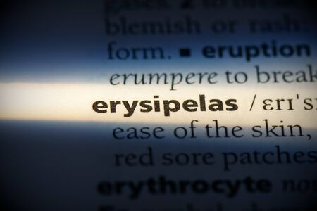 erysipelas word in a dictionary. erysipelas concept, definition.の写真素材