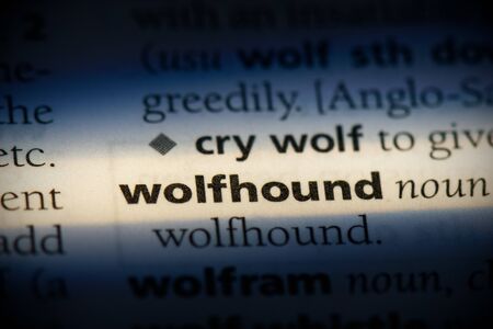 wolfhound word in a dictionary. wolfhound concept, definition.の写真素材