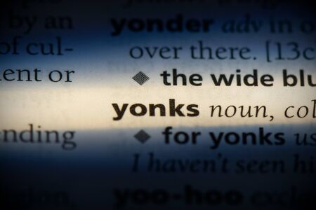 yonks word in a dictionary. yonks concept, definition.の写真素材