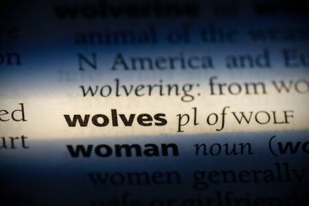 wolves word in a dictionary. wolves concept, definition.の写真素材