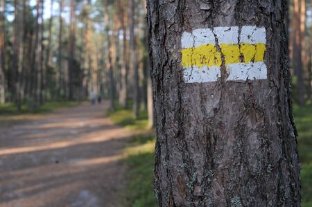 Walking trail marks and signs on trees showing direction for hikers in forestの写真素材