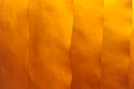 Red, orange, yellow and golden color abstract texture backgroundの写真素材