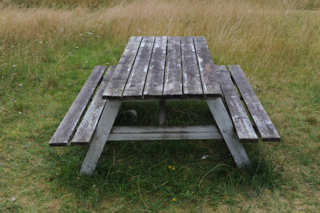 Wooden table and benches for outdoor dining and picnic on a grass field at the camping