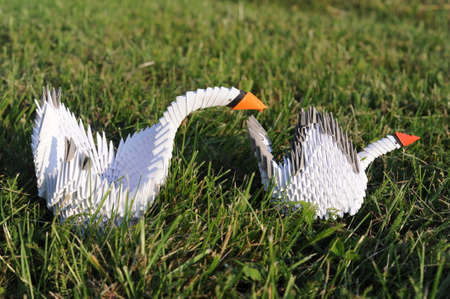 3D modular origami paper swan handmade with white paper - an example of craftwork and handwork requiring craftsmanshipの写真素材