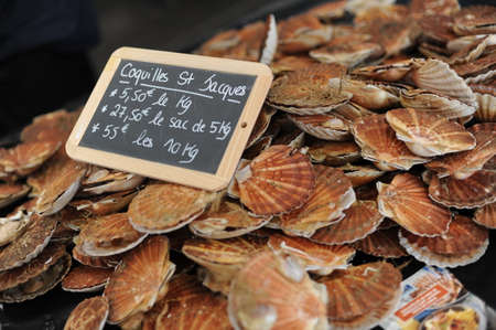 Fresh scallops in shells, seafood, fruit de mer, hotate, St James shell, pecten maximus, mollusks molluscaの写真素材