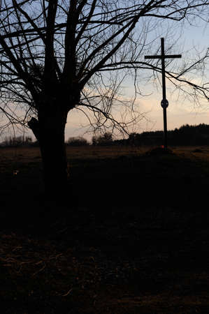Rural landscape with willow trees and cross near a river in early spring during sunset in the evening before dusk near Chopin birth Place in Poland, Europeの写真素材