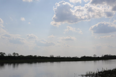 Peaceful river and trees with sky reflecting in spring in Europe