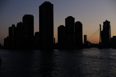 Sunset view of the city of Tokyo with a bridge, skyscrapers and office buildings and Sumida river...