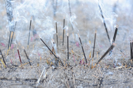 Incense sticks and joss sticks burning and releasing aroma and white smoke in incense burnerの写真素材