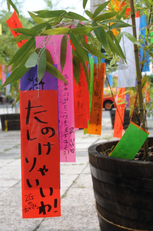 Tanabata festival (Star Festival) in Japan. Colorful paper tags called tanzaku with written wishes hanging on bamboo branches in summer.の写真素材