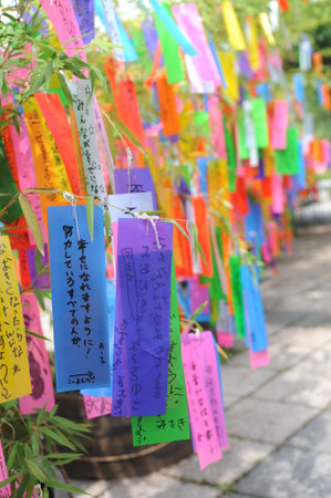 Tanabata festival (Star Festival) in Japan. Colorful paper tags called tanzaku with written wishes hanging on bamboo branches in summer.の写真素材