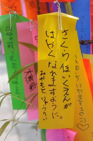Tanabata festival (Star Festival) in Japan. Colorful paper tags called tanzaku with written wishes hanging on bamboo branches in summer.の写真素材