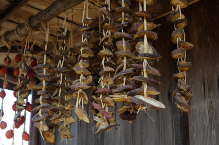 Slices drying outdoors for winter comfort food in Asiaの写真素材