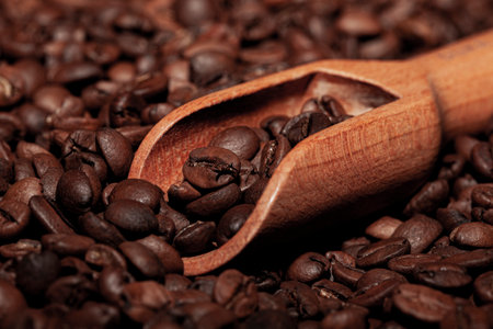 coffee roasted beans with a spoonの写真素材