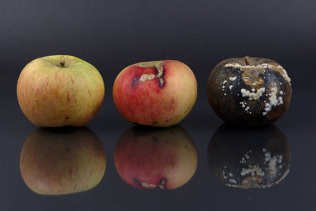 applesの写真素材