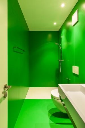 Interior of stylish modern house, green bathroom の写真素材