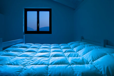 architecture, bedroom in a attic