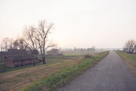 Typical Italian countryside of the po delta with fog