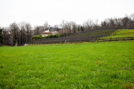 Countryside landscape in autumnの写真素材