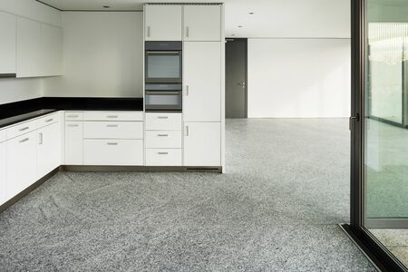 Modern architecture, wide apartment, domestic kitchen viewの写真素材