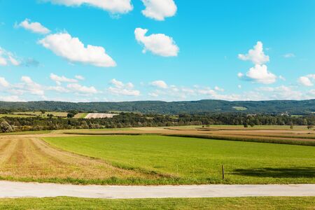 landscape, green field and clouds on blue skyの写真素材