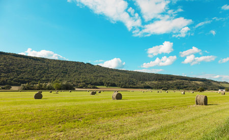 landscape, green field and clouds on blue sky