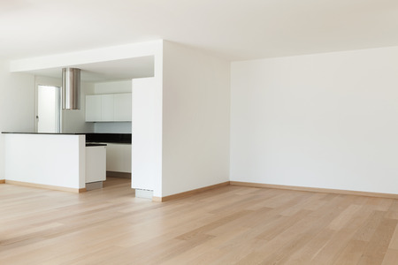 Interior, domestic kitchen of a modern apartment, view from the livingの写真素材