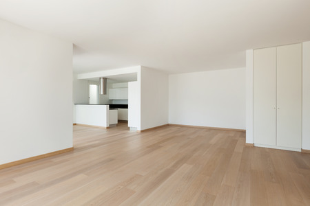 Interior, domestic kitchen of a modern apartment, view from the livingの写真素材