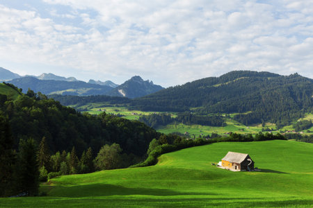 Summer mountain landscape