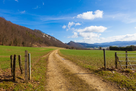 country landscape with fence and dirt roadの写真素材
