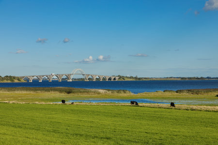Queen Alexandrine Bridge, green field and cow.の写真素材
