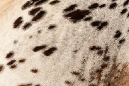Horse hair background, texture
