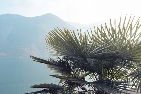 Lake view detail in winterの写真素材