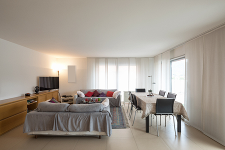 Living room with sofas, table with chairs to eat and a modern kitchen. Interior of open space apartmentの写真素材