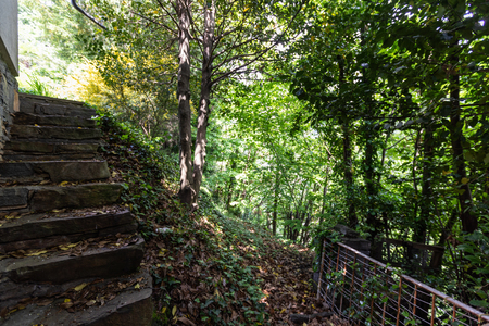 Wood with staircase belonging to a private villa. Nobody insideの写真素材