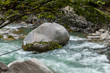 Rock detail in the stream surrounds by forest in the Swiss Alps. Nobody inside
