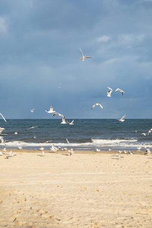 Cold beach of Poland