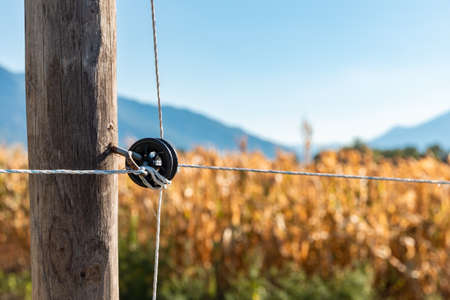 Detail of wooden post and fence to protect the cultivated field. Nobody inside. Detailの写真素材