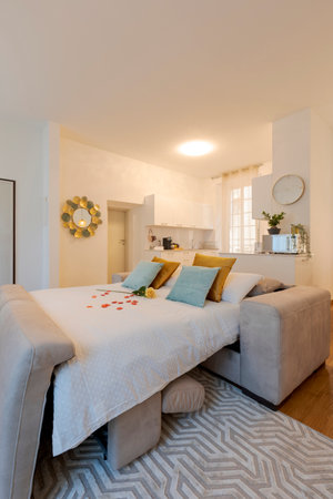 Elegant living room furnished in modern apartment with a sofa bed. There are large pillows and red rose petals. Nobody insideの写真素材