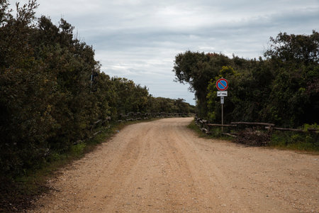 Dirt road leading to the sea on a very cloudy day. Nobody insideの写真素材