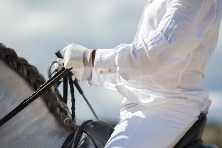 Rider's hands. Dressage, training.の写真素材