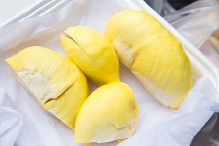 The durian is a king of fruit in Thailand.の写真素材