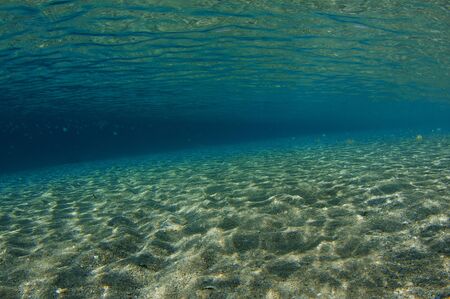 Series of pictures of the deepening water on a beach in south east Floridaの写真素材