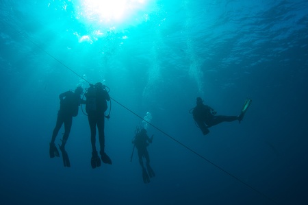 Scuba divers on a safety stop, south Florida.の写真素材
