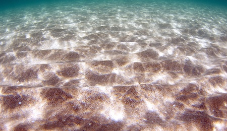 Light Dappled Sandy Bottom at a shallow water beach.の写真素材